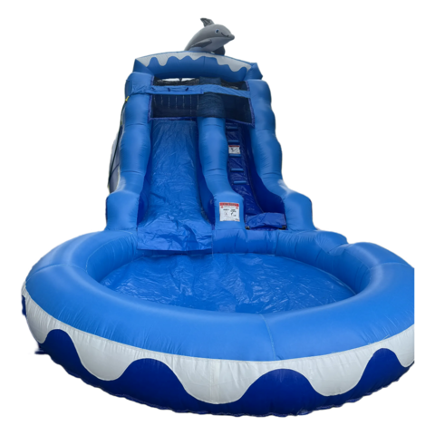 Blue Doplhin