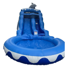 Blue Doplhin