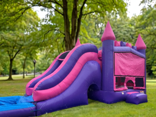 Pink Castle 