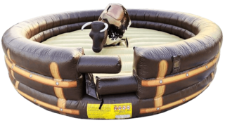 <strong><span style='color:#0000ff;'>The Tennessee Twister</span></strong>