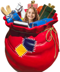 <strong><span style='color:#0000ff;'>Santa Gift Sack</span></strong>