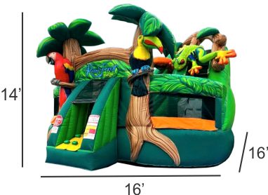 Rain Forest combo bounce house