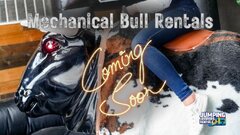 Mechanical Bull Rentals