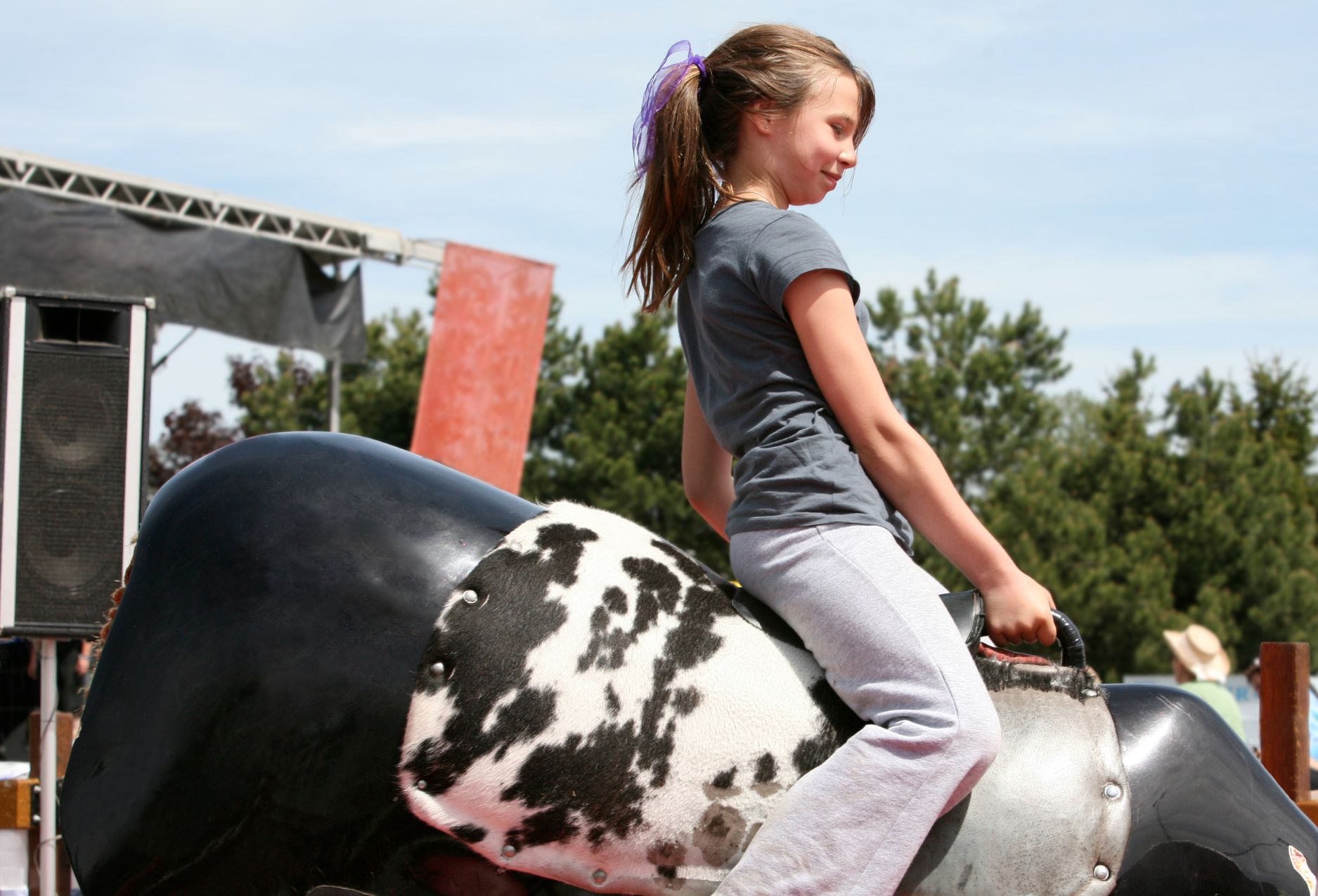 Mechanical Bull Rentals Savannah Ga Mechanical Bull Rentals Savannah Ga