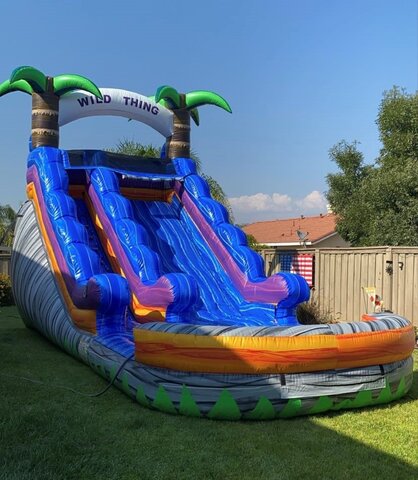 15' Wild Thing Dual Lane Waterslide