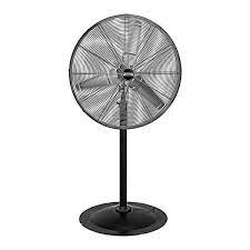 Pedestal Fan 30