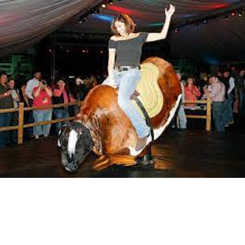 Mechanical Bull Rental/ Mymechanicalbull.com Georgia & Upstate South ...