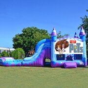 CUSTOM THEME FANTASTIC TITAN (6 IN 1) WET COMBO-PET LIFE