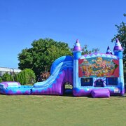 CUSTOM THEME FANTASTIC TITAN (6 IN 1) WET COMBO-SHOPKINS