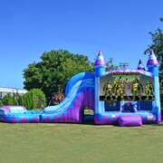 CUSTOM THEME FANTASTIC TITAN (6 IN 1) WET COMBO-TURTLE