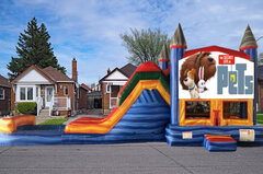 CUSTOM THEME MARBLE WATER COMBO WITH POOL-PET LIFE