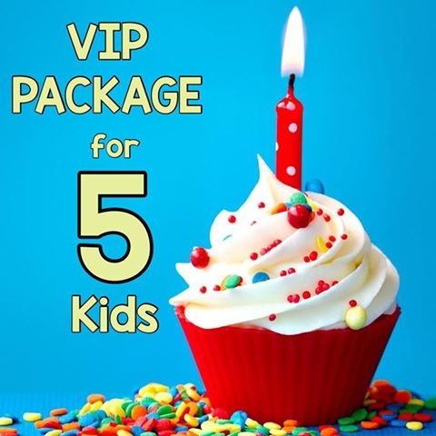 VIP Party Package