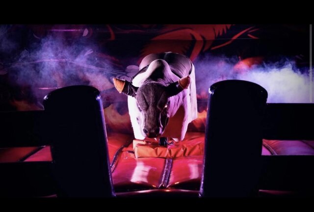 Bull