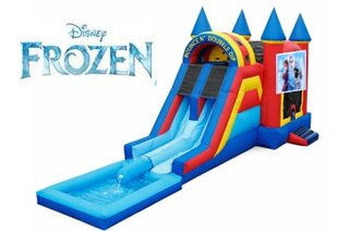 Frozen Castle Bounce House & Dual Waterslide