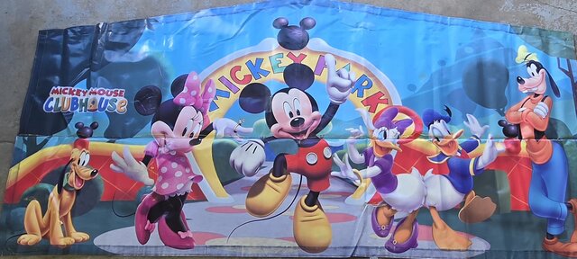 Mickey Mouse Club 2