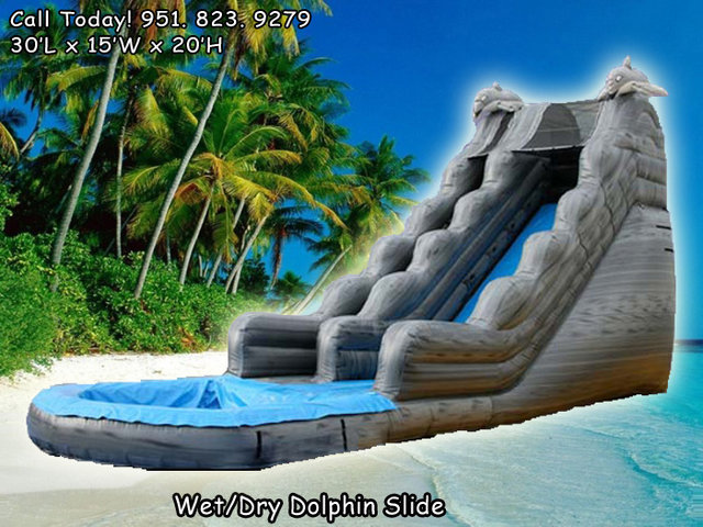 20 Ft Grey Dolphin Water Slide (Item 306)