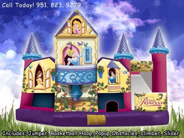 5N1 Deluxe Disney Princess (Item 555)