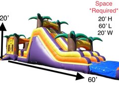 60 Ft Tropical Jumper W/Dual Slide W/Pool (Item 326) 