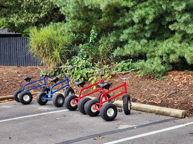 Adult Trikes