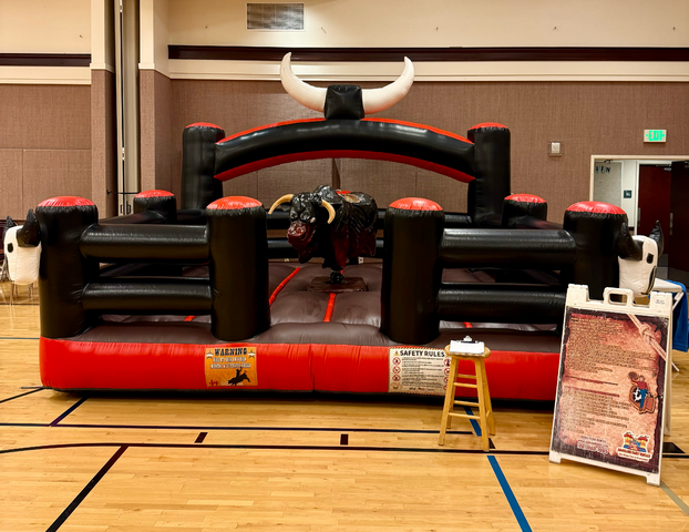 Bull in a school gym for a school party