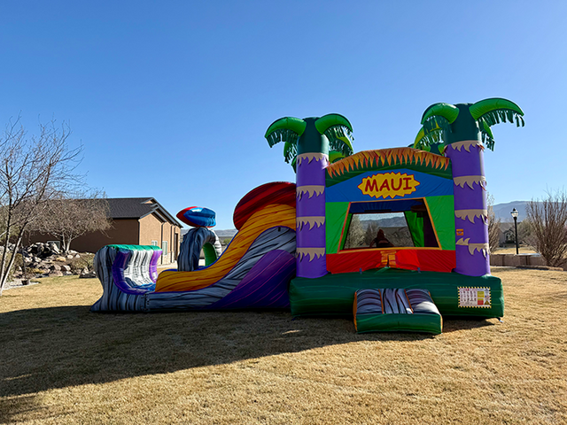 A large tropical maui inflatable with lots of colors and palm trees set up in a backyard for a Childs birthday party