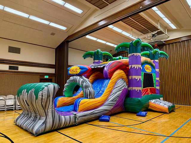 Maui XL combo bounce house and slide rental in Utah with tropical palm tree design