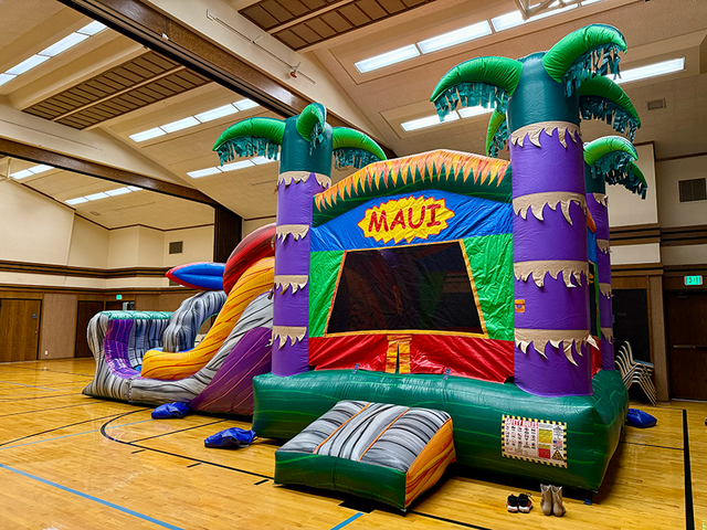 Maui XL combo bounce house and slide rental in Utah with tropical palm tree design