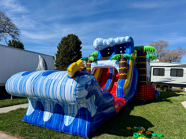 Shark themed inflatable bounce house with a slide set up on grass at a kids birthday party for fun
