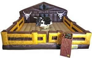 Mechanical  Bull