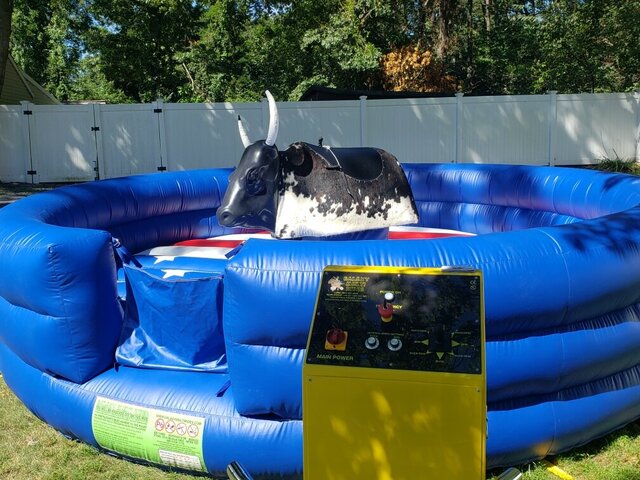 Inflatable mechanical best sale bull for sale