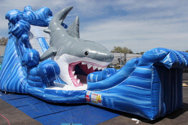 Mako Shark Dry Slide #DS5