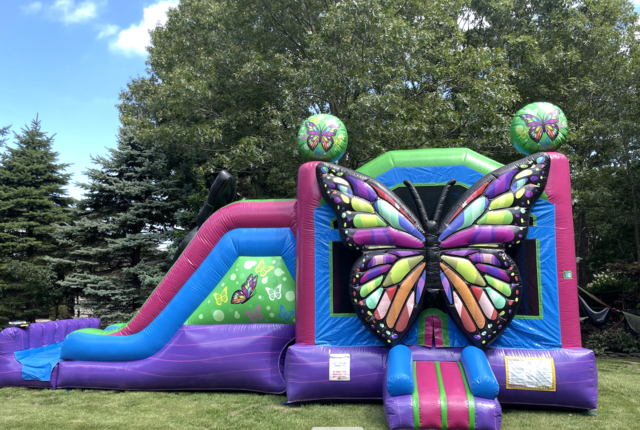 BUTTERFLY BOUNCER & DRY SLIDE