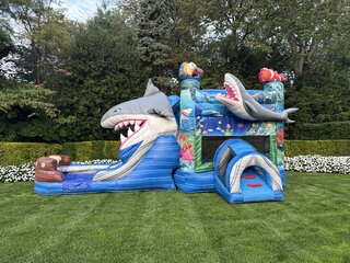 (#2) NEW Shark bouncer with Double lane dry slide