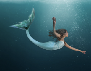 MERMAID MEET AND GREET