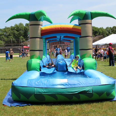 Wild 2 Lane Slip N Slide With Pool #WS14