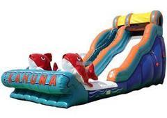 Water Slide Rentals