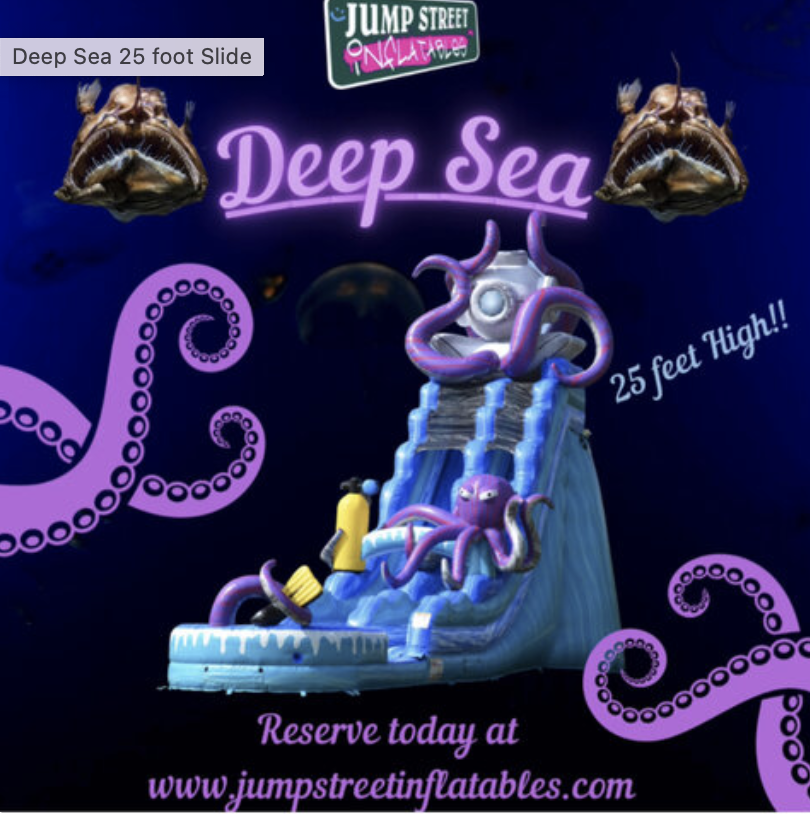 Bounce House Rental In Chipley, FL.