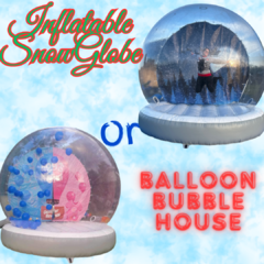 SnowGlobe or Balloon Bubble Globe