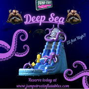 Deep Sea 25 foot Slide