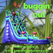 Buggin’ Out 20’ slide