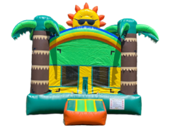 107 - Tropical Sun 13