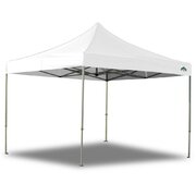 10' x 10' Pop up Canopy