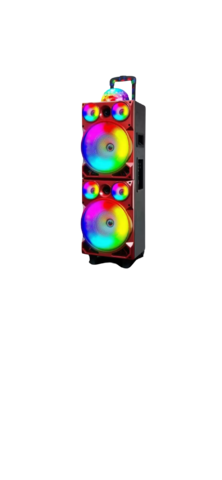 Bluetooth Speaker w/ Lights