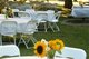 Rent Tables and Chairs Near Me;