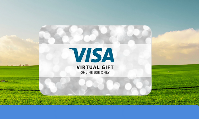 e-Gift Card 100