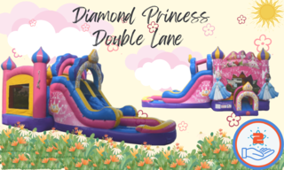 Diamond Princess Bounce House Combo DRY