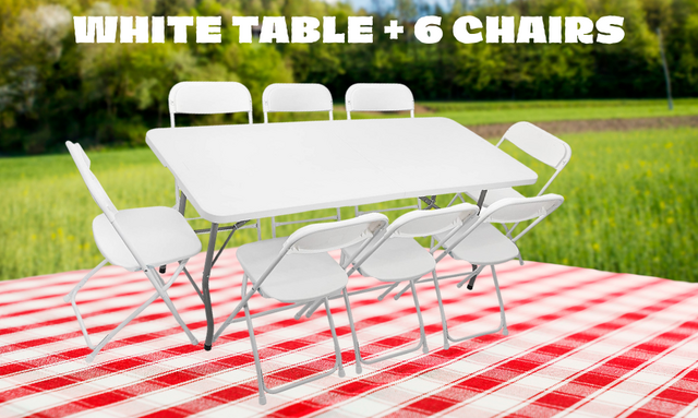 1 Table and 6 Chairs