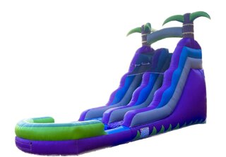 Tropical Paradise Slide