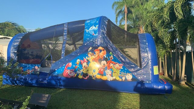 Mickey Mouse Water Slide