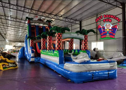 Peoria Inflatable Slide Rentals